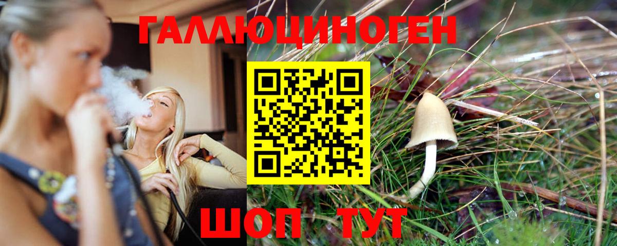 Галлюциногенные грибы Magic Shrooms Новоалтайск